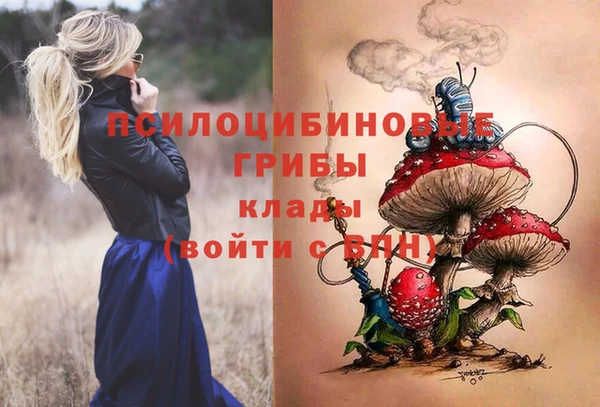 соль ск Абаза