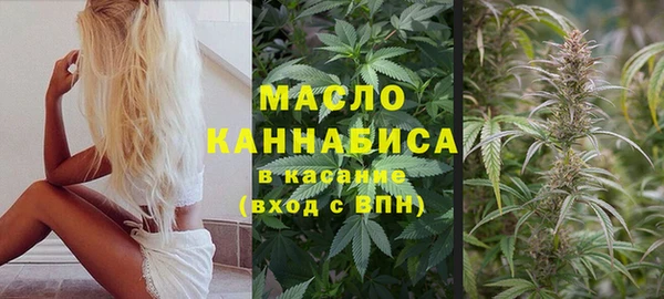 соль ск Абаза