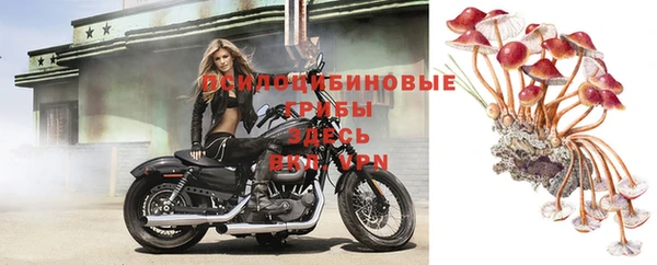 скорость Алзамай